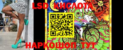 винт Ливны