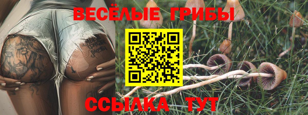 Галлюциногенные грибы Magic Shrooms Фурманов