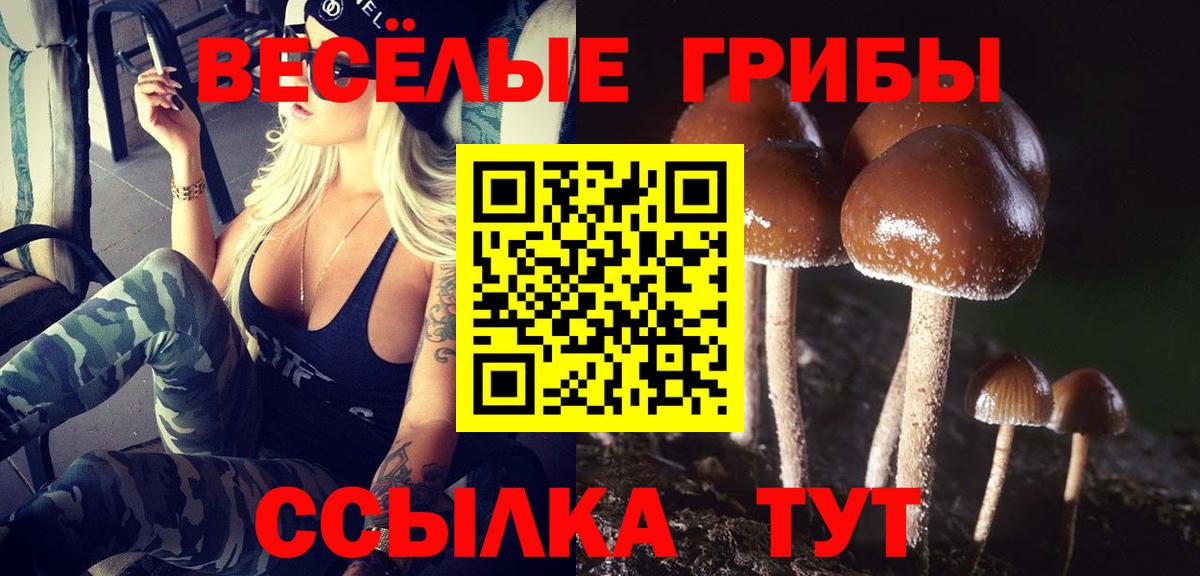 Фурманов  Галлюциногенные грибы Psilocybine cubensis  Вход с VPN  Псилоцибиновые грибы MAGIC MUSHROOMS 