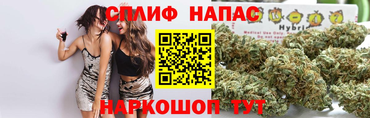 Фурманов  Канабис White Widow  Каннабис планчик  Бошки марихуана Amnesia  Вход с VPN 